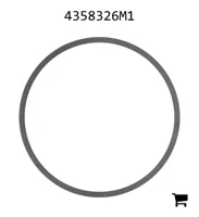 AGCO 4358326M1 Регулировочная шайба