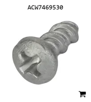 AGCO ACW7469530 Винт