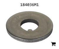 AGCO 184036M1 Шайба