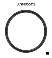 AGCO 3704955M1 Уплотнительное кольцо