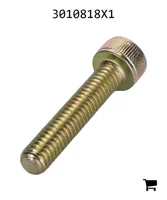 AGCO 3010818X1 Винт с внутренним шестигранником