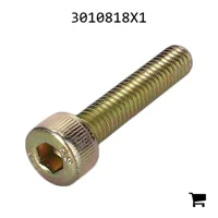 AGCO 3010818X1 Винт с внутренним шестигранником