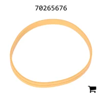 AGCO 70265676 Уплотнение