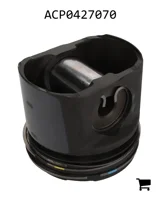 AGCO ACP0427070 Поршень