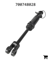 AGCO 700748028 Гидроцилиндр