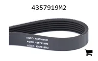 AGCO 4357919M2 Ремень
