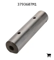 AGCO 3793607M1 Палец вилки