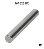 AGCO 3676252M1 Игольчатый ролик