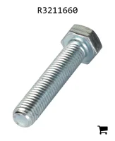 AGCO R3211660 Винт
