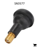 AGCO SN3577 Клапанный стержень