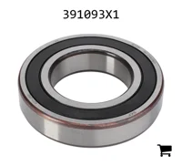 AGCO 391093X1 Подшипник 6211 2RS