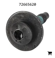 AGCO 72665620 Винт