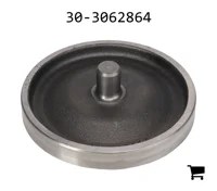 AGCO 30-3062864 Поршень