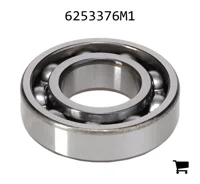 AGCO 6253376M1 Шариковый подшипник