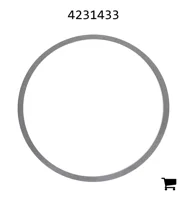 AGCO 4231433 Шайба