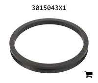 AGCO 3015043X1 Радиальное уплотнительное кольцо