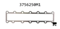 AGCO 3756250M1 Прокладка коллектора