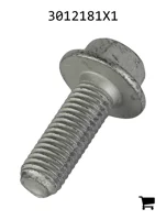 AGCO 3012181X1 Болт с шестигранной головкой и фланцем