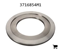 AGCO 3716854M1 Поршень