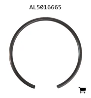 AGCO AL5016665 Кольцо