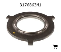 AGCO 3176863M1 Пластина