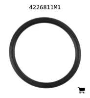 AGCO 4226811M1 Уплотнительное кольцо