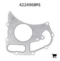 AGCO 4224960M1 Прокладка