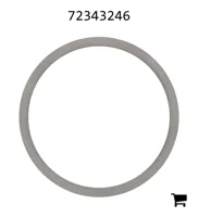 AGCO 72343246 Диск