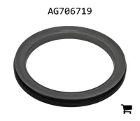 AGCO AG706719 Масляный сальник