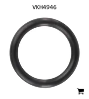 AGCO VKH4946 Уплотнительное кольцо гидравлики