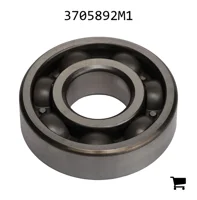 AGCO 3705892M1 Шариковый подшипник