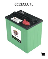 AGCO GC2ECLUTL Аккумуляторная батарея