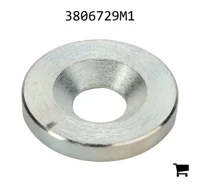 AGCO 3806729M1 Шайба