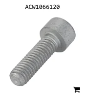AGCO ACW1066120 Установочный винт с шестигранной головкой