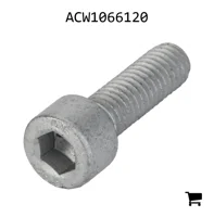 AGCO ACW1066120 Установочный винт с шестигранной головкой