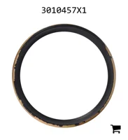 AGCO 3010457X1 Уплотнительное кольцо скребка