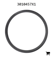 AGCO 3010457X1 Уплотнительное кольцо скребка
