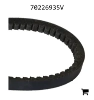 AGCO 70226935V Ремень