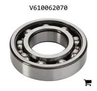 AGCO V610062070 Шариковый подшипник