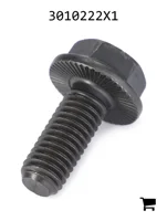 AGCO 3010222X1 Болт с шестигранной головкой и фланцем