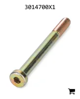 AGCO 3014700X1 Винт с цилиндрической головкой и шестигранным углублением