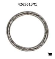 AGCO 4265613M1 Пружина