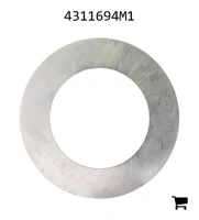 AGCO 4311694M1 Шайба