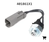 AGCO 401861X1 Шар