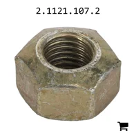 AGCO 2.1121.107.2 Стопорная гайка