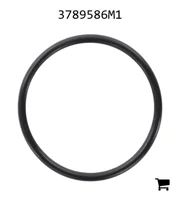 AGCO 3789586M1 Уплотнительное кольцо