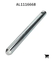 AGCO AL1116668 Палец вилки