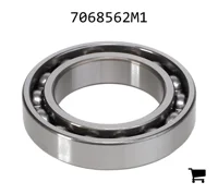 AGCO 7068562M1 Шариковый подшипник