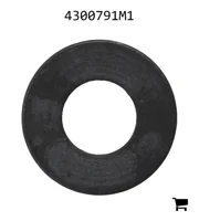 AGCO 4300791M1 Шайба