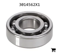 AGCO 3014562X1 Подшипник 6204